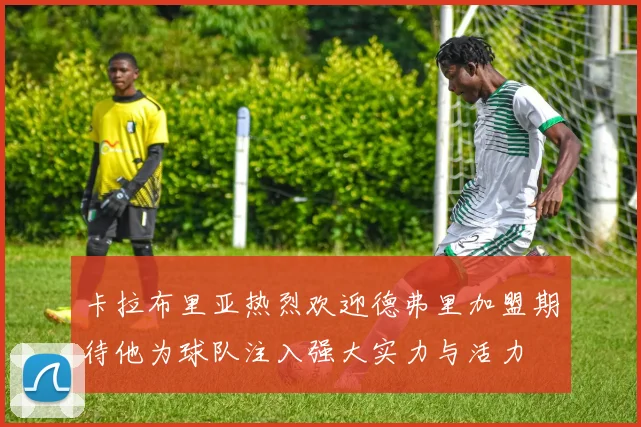 卡拉布里亚热烈欢迎德弗里加盟期待他为球队注入强大实力与活力