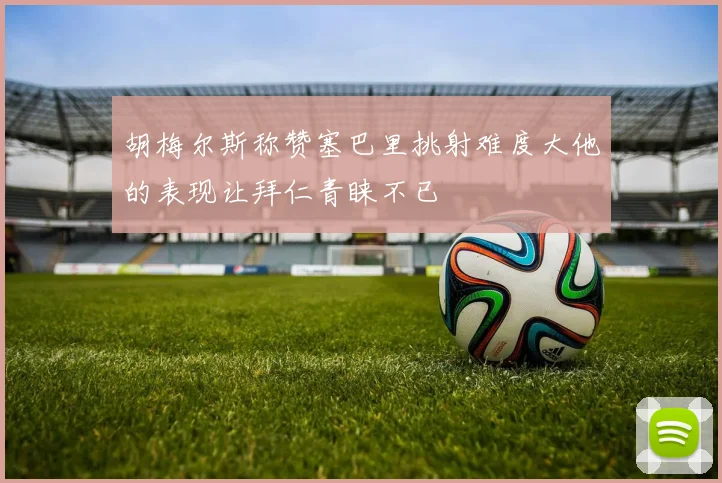 胡梅尔斯称赞塞巴里挑射难度大他的表现让拜仁青睐不已